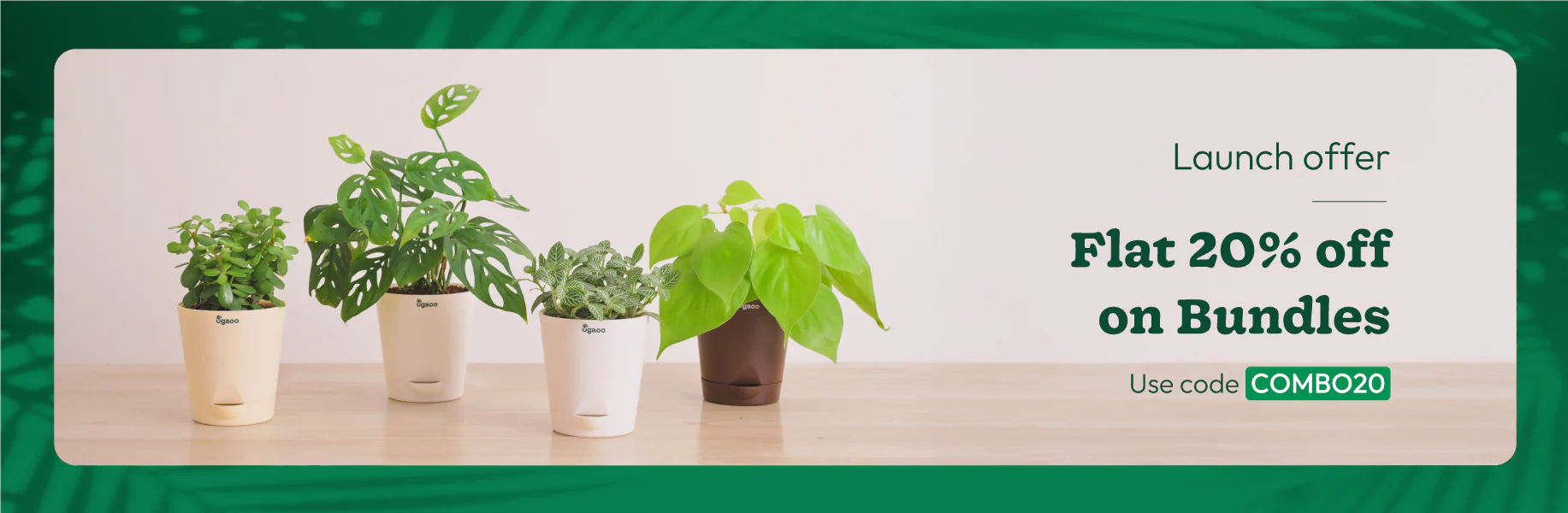 Sustainable Living